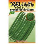 【タネ】つるなしいんげん すじなしグリーン カネコ種苗