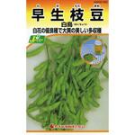 【タネ】早生枝豆 白鳥 カネコ種苗