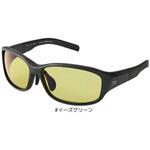 TLX025 タレックスレンズ偏光グラス DAIWA(ダイワ) サングラス 【通販