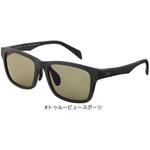 TLX027WIDE タレックスレンズ偏光グラス DAIWA(ダイワ)
