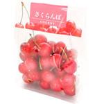 さくらんぼ　専用 3930005300 イロヲビボックスパック さくらんぼ(大)レシピ1・2 1