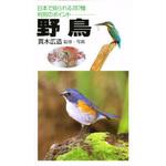 31148 野鳥 永岡書店
