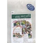 お花がつるりん 一色本店