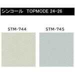 【オーダー】量産壁紙クロス TOPMODE2024-2026 STM744～STM745 石目調 シンコール