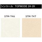 【オーダー】量産壁紙クロス TOPMODE2024-2026 STM746～STM747 石目調 シンコール