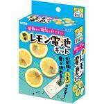 簡単!レモン電池キット アーテック