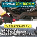 トルクレンチ 20-100N.m EMERSON(エマーソン)