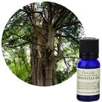 フレーバーライフ 精油 ひのき 10mL フレーバーライフ