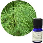 フレーバーライフ 精油 杉(葉) 3mL フレーバーライフ