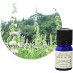 フレーバーライフ 精油 薄荷 3mL フレーバーライフ