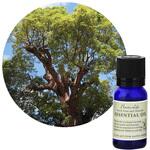 フレーバーライフ 精油 ラヴィンサラ 10mL フレーバーライフ