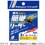 弾丸簡単リーダー エギング専用 MajorCraft