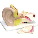 ヒトの耳 機械の耳 聴覚のモデル化から機械学習まで ヒトの耳 機械の耳 ―聴覚のモデル化から機械学習まで