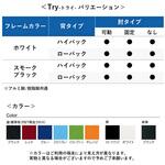チェア Try アルミ脚 ローバック スモークブラックシェル(組立サービス付き) プラス[家具]