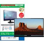 TV用 液晶保護フィルム シャープ AQUOS 2T-C24GE1 24インチ ブルーライトカット 反射防止 テレビ メディアフューチャー