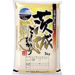 【袋のみ】 豊穣の地・茨城こしひかり アサヒパック