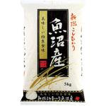 004120501 【袋のみ】 高級金銀箔入C黒ラベル・新潟魚沼こしひかり アサヒパック
