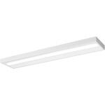 天井直付型 一体型 LED ベースライト スリムベース 環境特化タイプ 【受注生産品】 Panasonic(パナソニック)