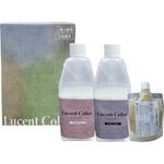 水性コンクリートステイン塗料 ルーセントカラー for  wall 壁用   15m2レギュラーセット ヤブ原産業