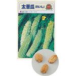 【タネ】野菜の種 苗床付 アーテック[学校教材・教育玩具]