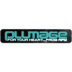 5308 ステッカー PLUMAGE RPM