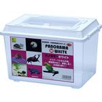 398 パノラマ WILD