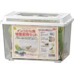 インコひな用 特製飼育セット WILD