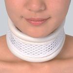 ドルフハード2号 竹虎