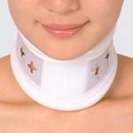 ドルフハード3号 竹虎