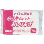 介護用ウェットおしりふき 大富士製紙