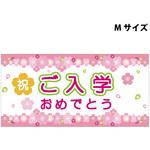 SBPM-10 スチレンボードポップMサイズ グリーンクロス