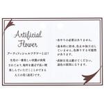 ZS000039 アーティフィシャルカード 東京堂