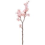 FM001789 あかり桜 MAGIQ(東京堂)