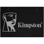Kingston 2，5インチSSD プリンストン