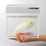 観察用アクリル水槽 アズワン