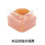 イオン交換樹脂 新品樹脂充填費 アズワン