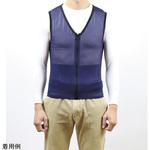 アシストベスト TASCHEL アズワン