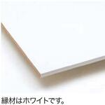キャニティ 一面レール棚基本セット 棚板 ノダ