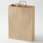 - 手提げ紙袋 モノタロウ 21138716