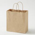 - 手提げ紙袋 モノタロウ 21138725