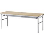 折畳テーブル OTN アイリスチトセ 折りたたみ会議テーブル 【通販