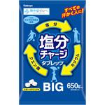 N23-21 塩分チャージタブレッツBIG カバヤ食品
