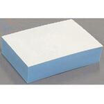 保水研磨パッド PRO 浴室鏡・ガラス用 アイオン