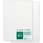 両面アートボード(厚さ1.5mm) アーテック(学校教材・教育玩具)
