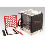 タンク式ブロッティング Thermo Fisher Scientific