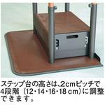 あがりかまち用たちあっぷ ステップ台 矢崎化工