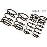 RG ダウンサス キックス P15 2WD RG(レーシングギア)