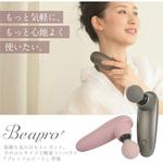 beapro17 beapro17 ビープロ プレミアムビート 大河商事