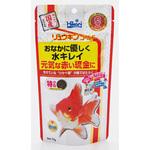 リュウキンゴールド キョーリン