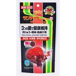 ランチュウベビーゴールド キョーリン